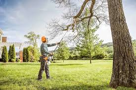 Reliable Veazie, ME Tree Services Solutions